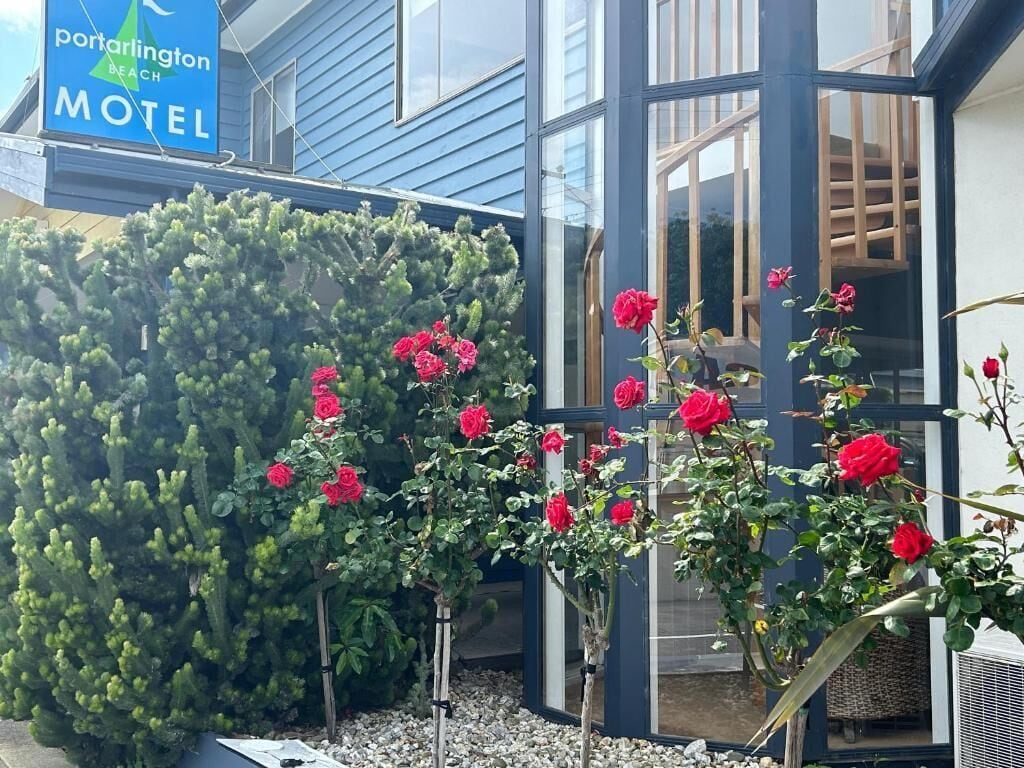 A motel with a blue exterior, a cactus garden, and red roses.