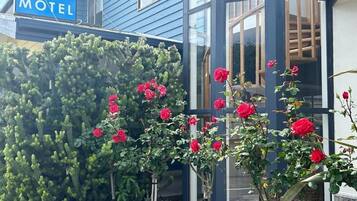 A motel with a blue exterior, a cactus garden, and red roses.