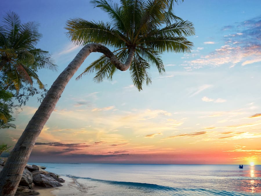 Bãi biển riêng, cát trắng, ghế dài tắm nắng, dù trên bãi biển