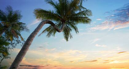 Vinpearl Resort & Spa Phu Quoc