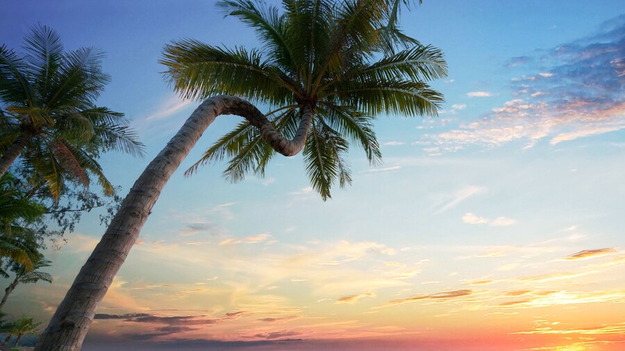 Vinpearl Resort & Spa Phu Quoc