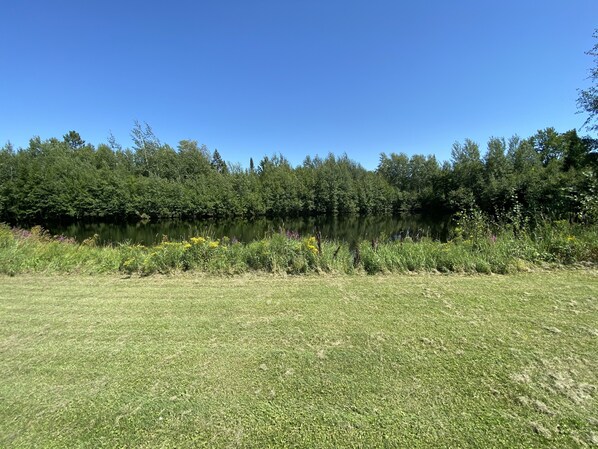 صيد الأسماك