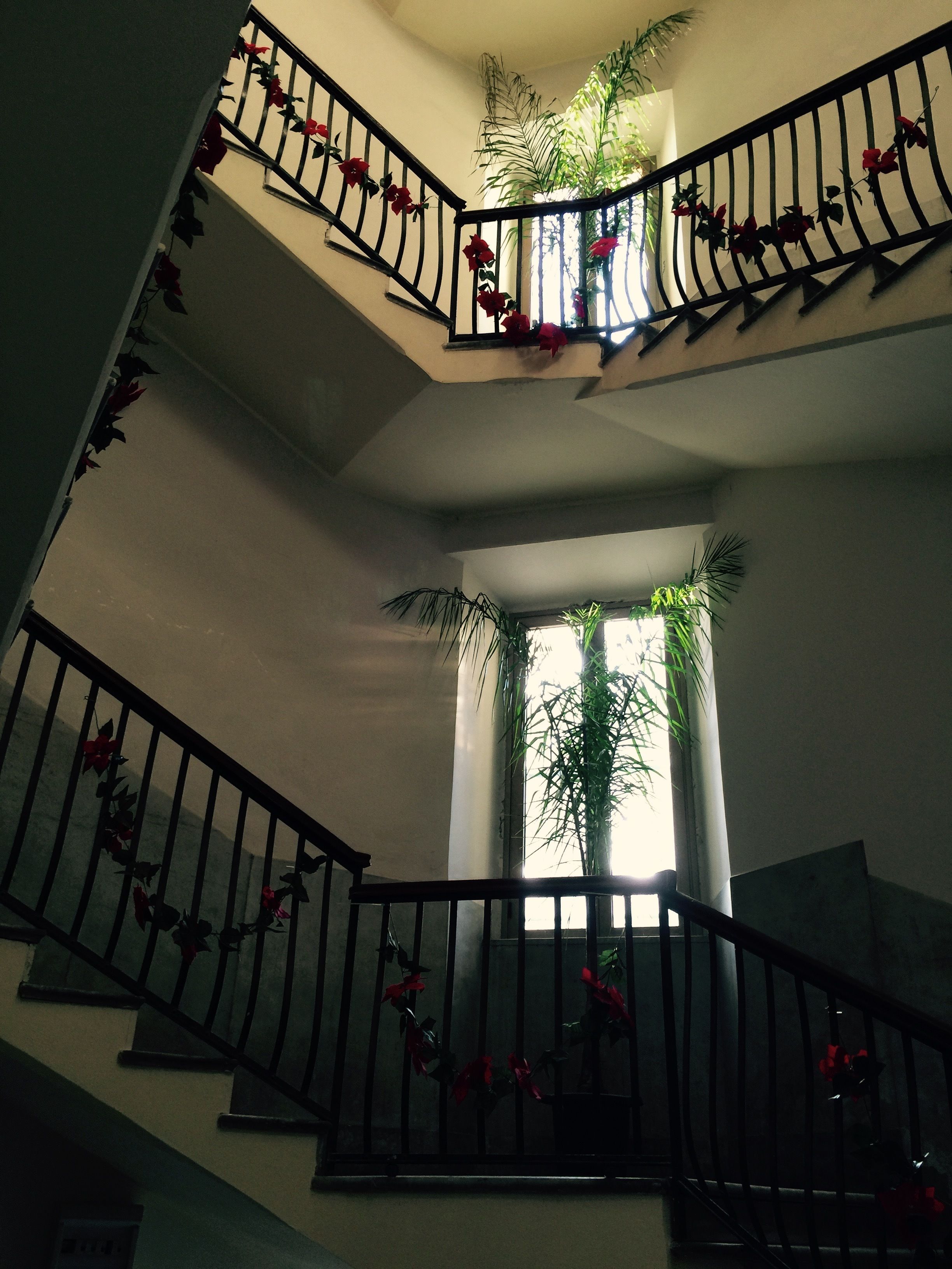 Photo - B&B Nike - Rooms Only