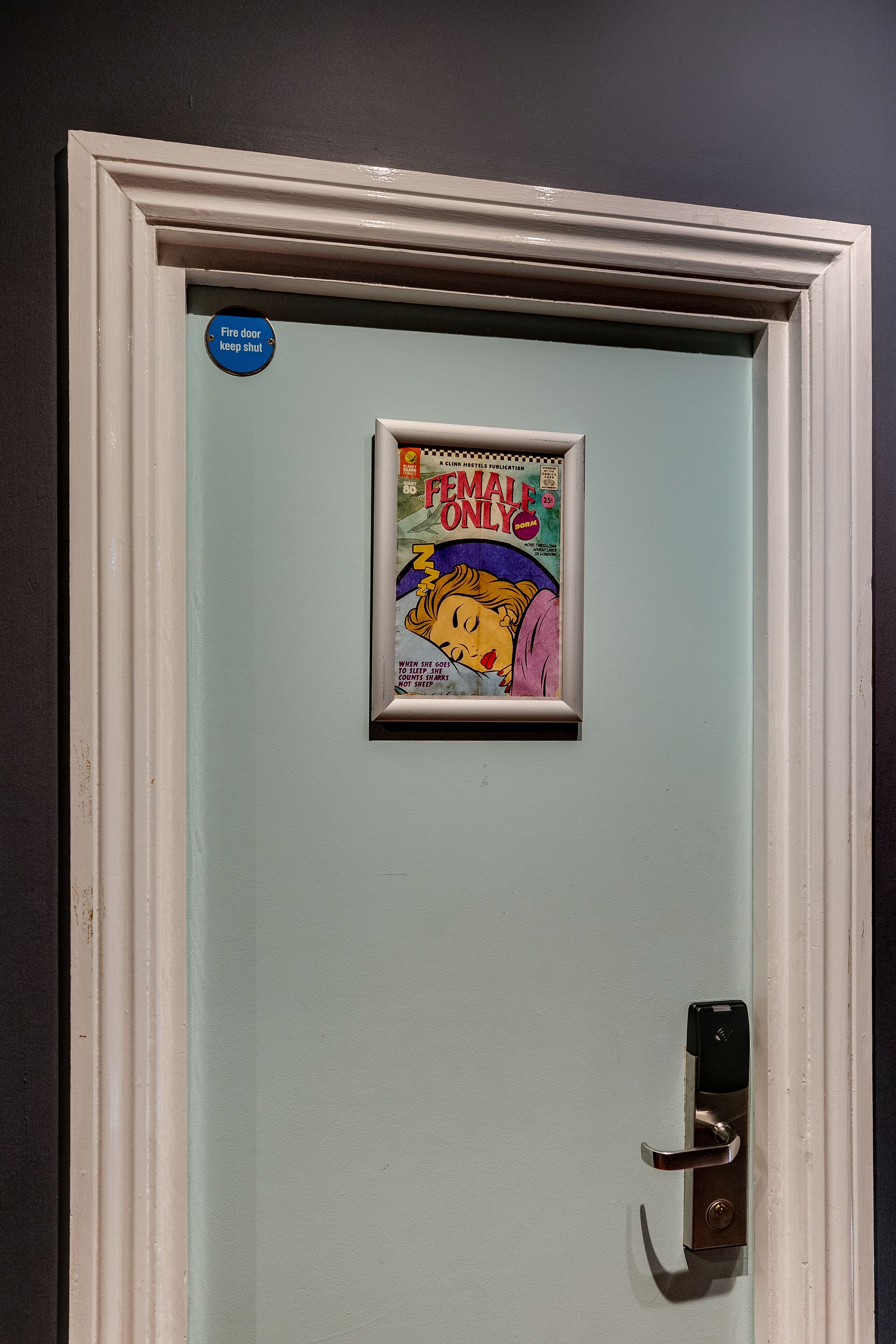 A door with a framed comic book, a fire door sign, and a modern door handle.