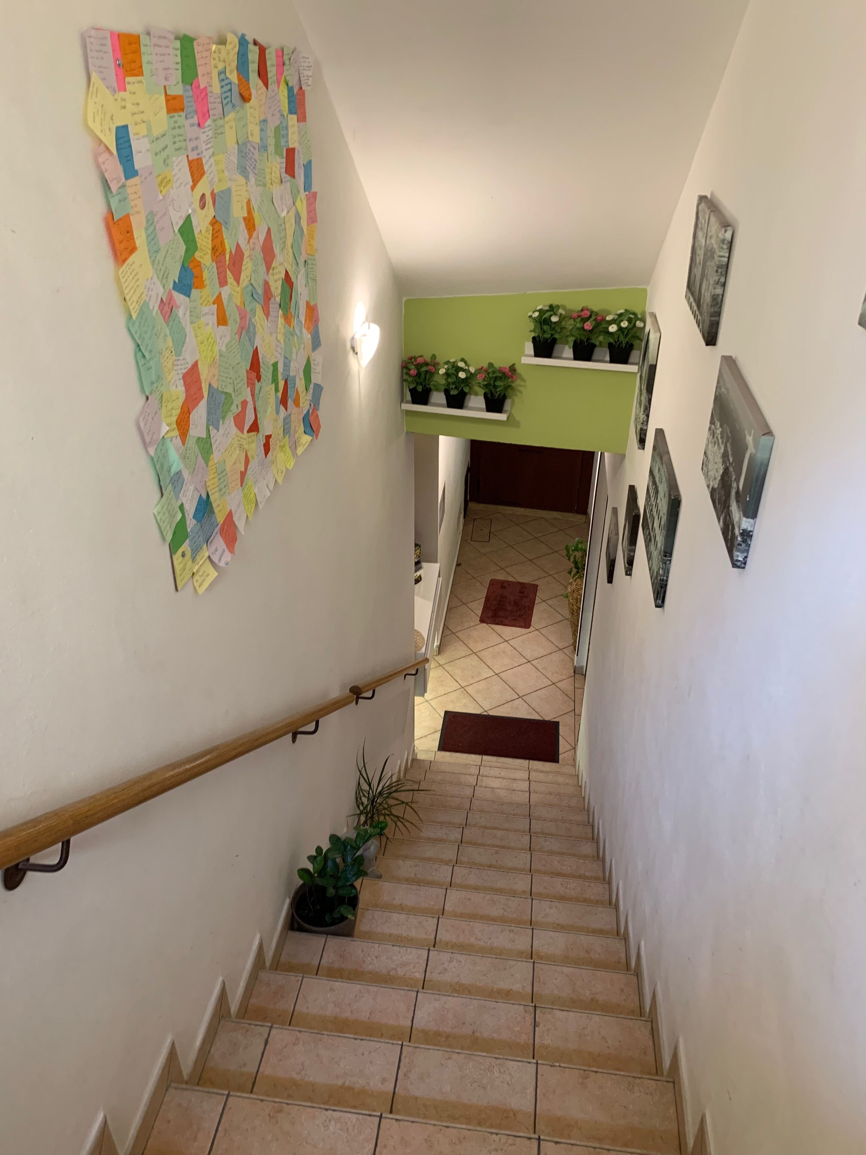 Una escalera con un mapa dibujado a mano en la pared, plantas en macetas e imágenes enmarcadas.