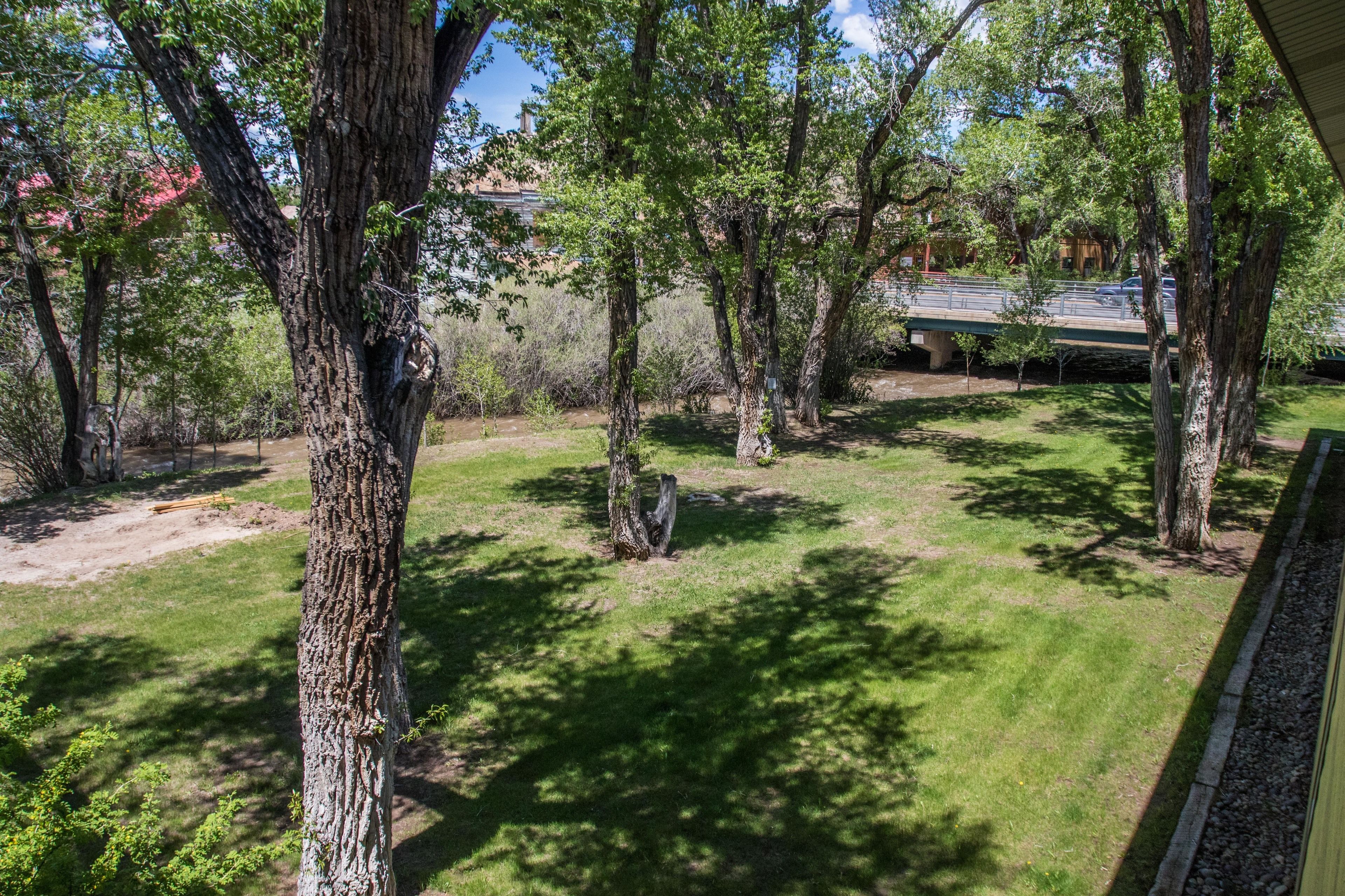 A view of a grassy area with trees and a building in the background.