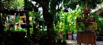 Ban To Guesthouse
