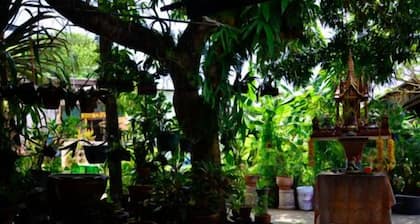 Ban To Guesthouse