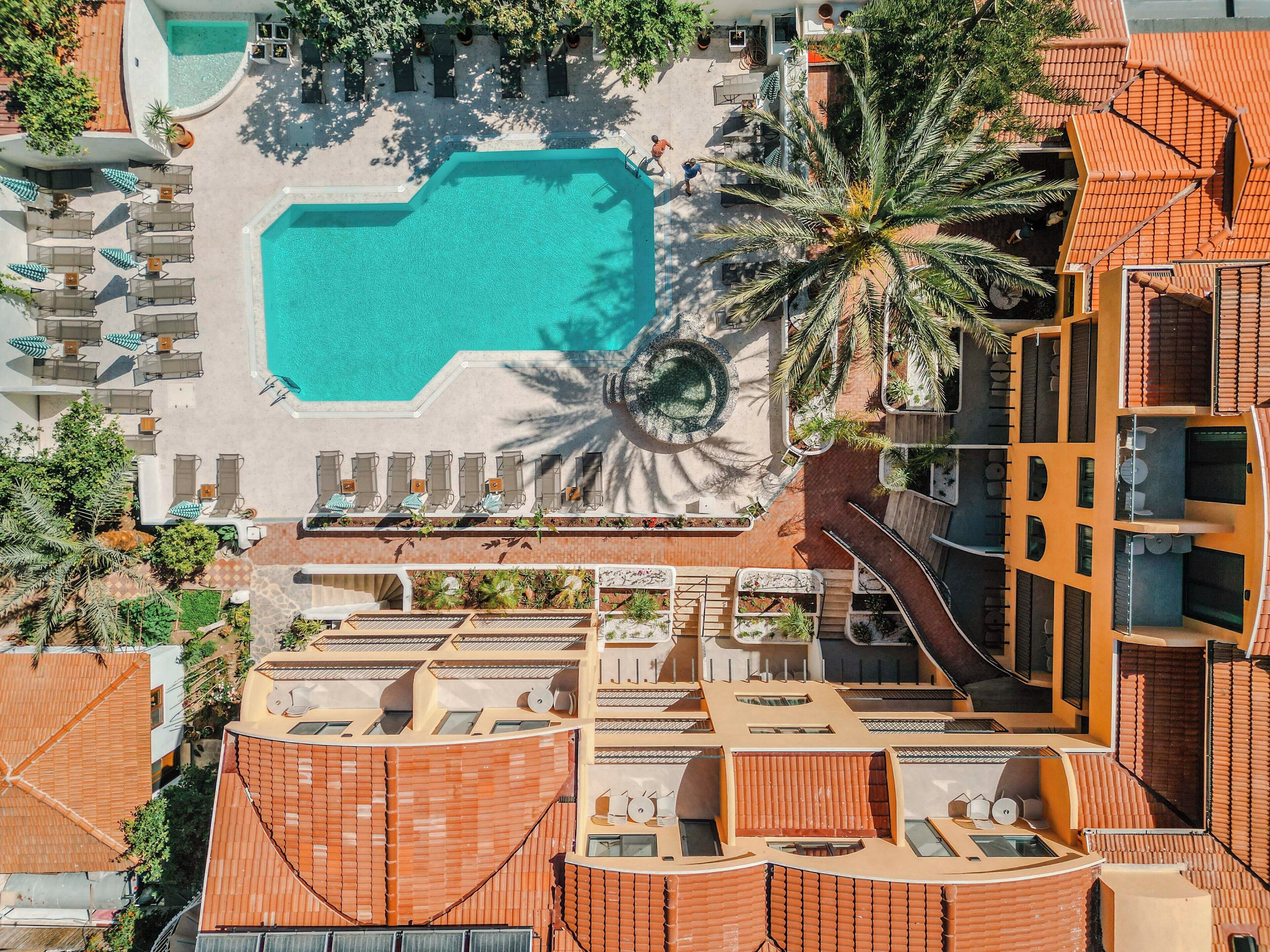 Vista aérea de un resort con piscina central, tumbonas y una palmera.