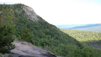 A mountainous landscape with dense forest and rocky terrain.