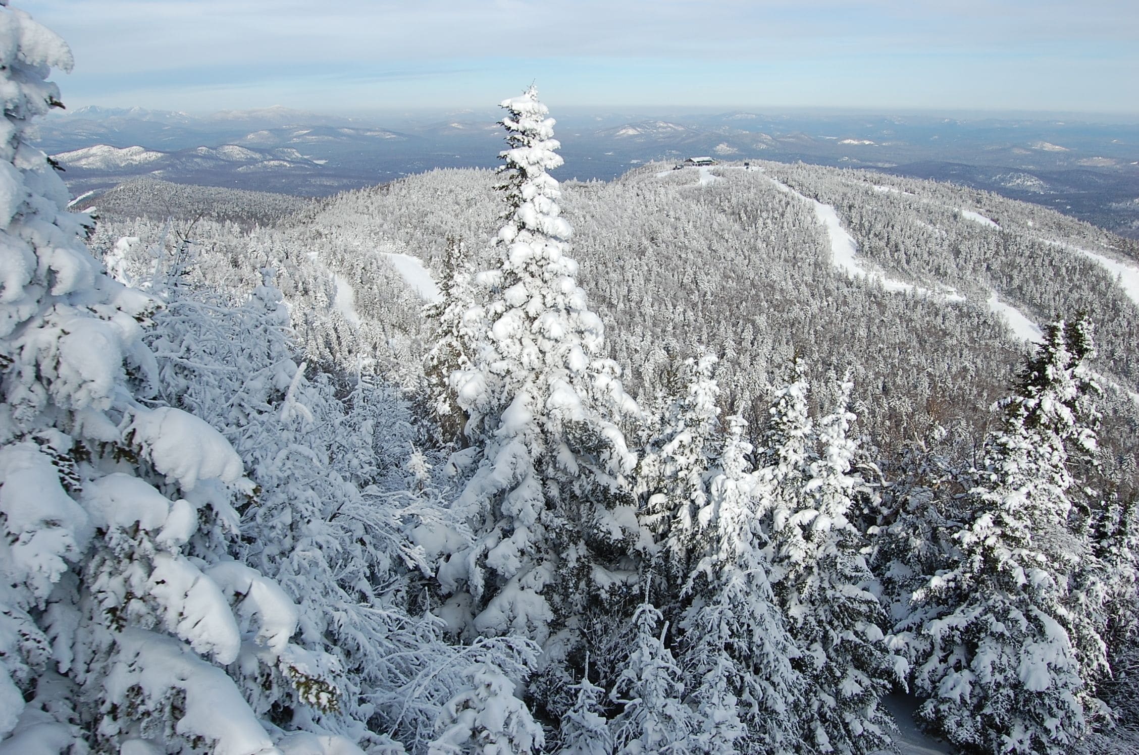 A snow-covered mountainous landscape with dense forests and a clear sky.