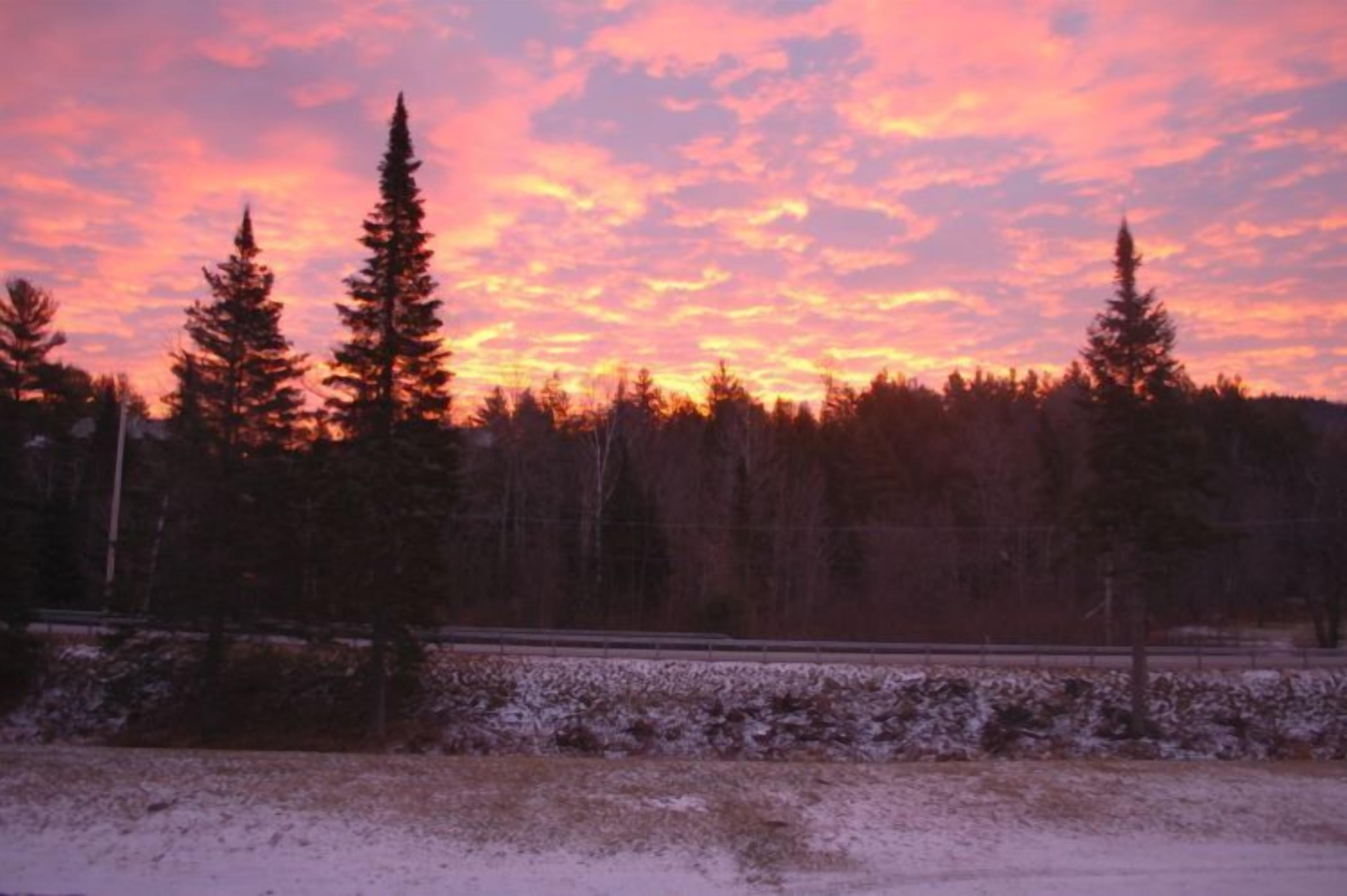 A forested landscape with a sunset.
