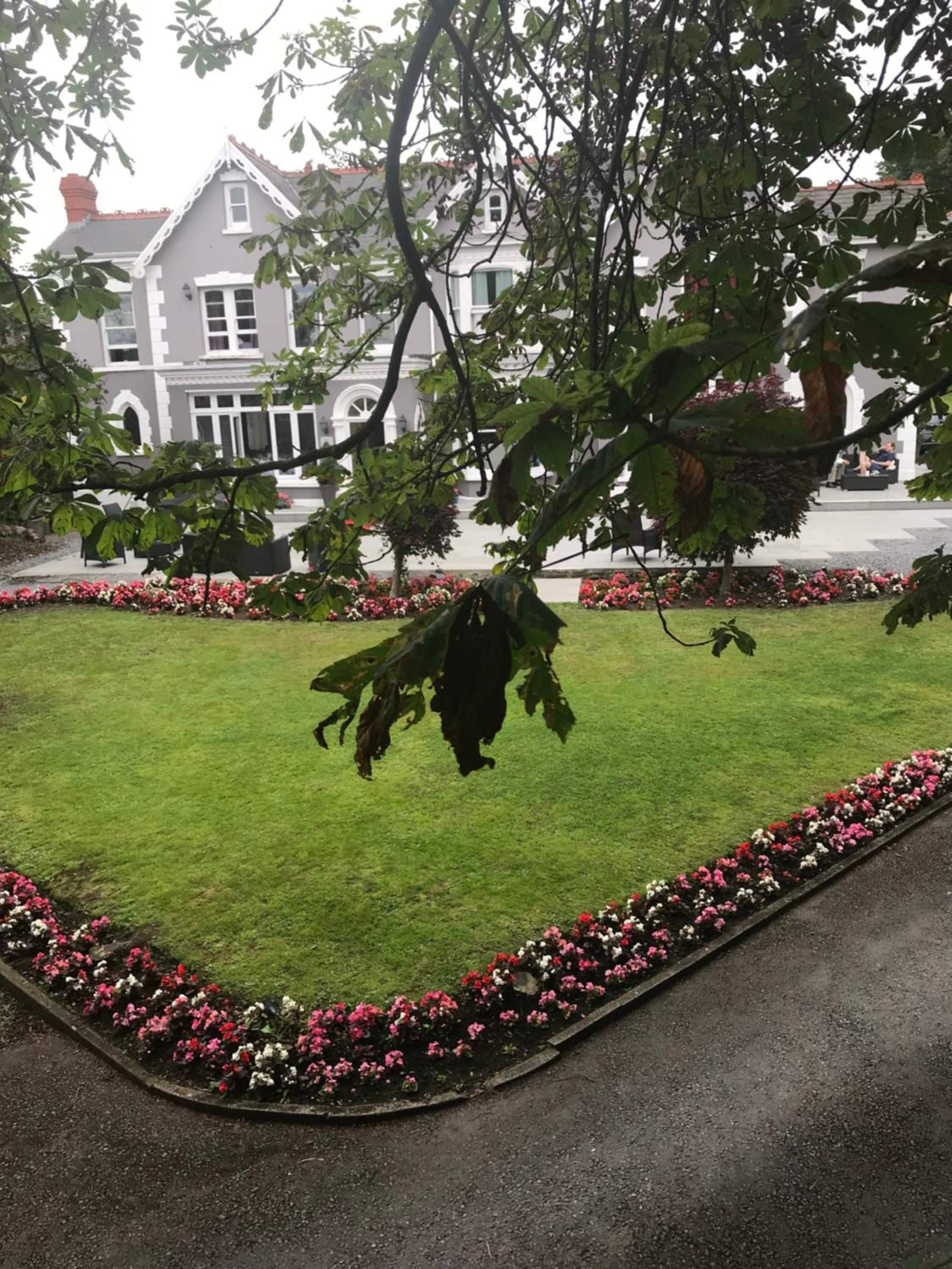 A well-maintained lawn with a flower border, a building with a classic architectural style in the background, and a tree with a leafless branch.