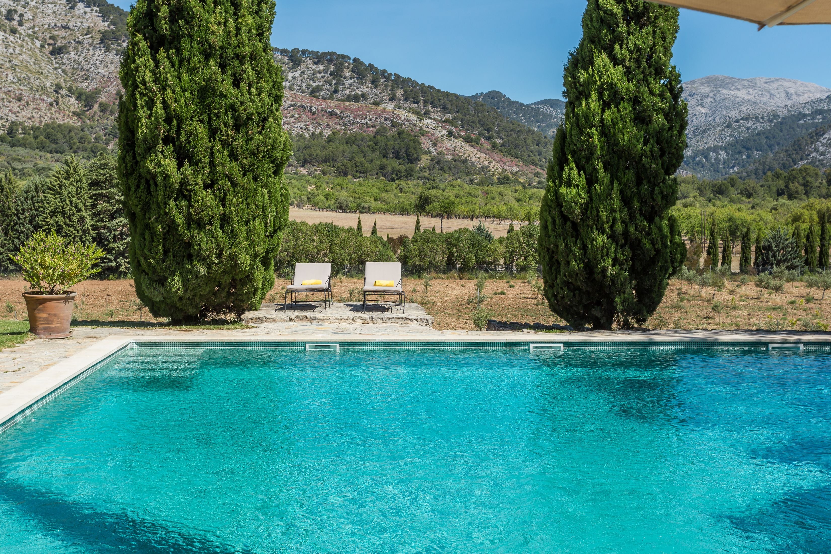 Piscina com duas espreguiçadeiras e um vaso de planta, cercada por ciprestes e um cenário montanhoso.