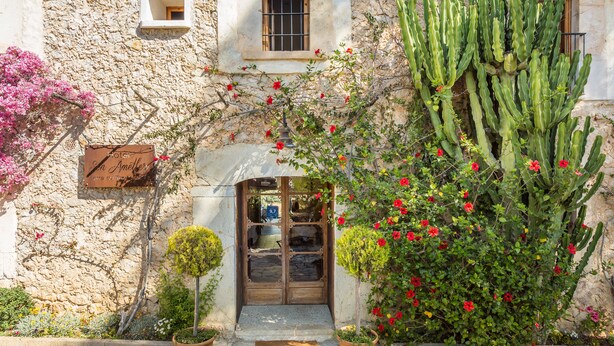 Un bâtiment en pierre avec une porte en bois, des plantes en pot et un cactus.