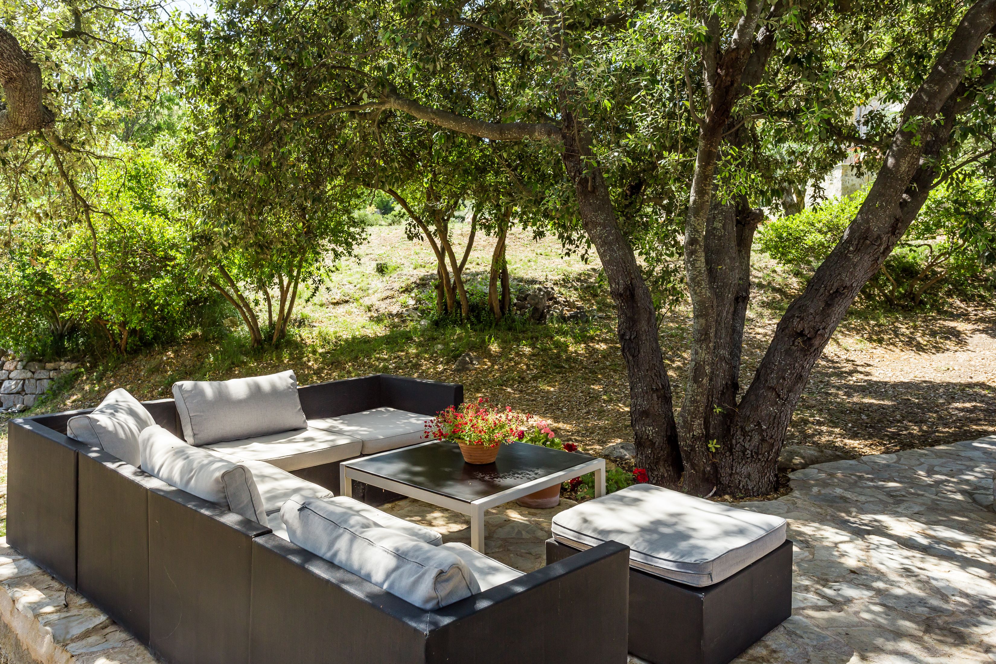 Un área de estar al aire libre con sofá, mesa y planta en maceta.