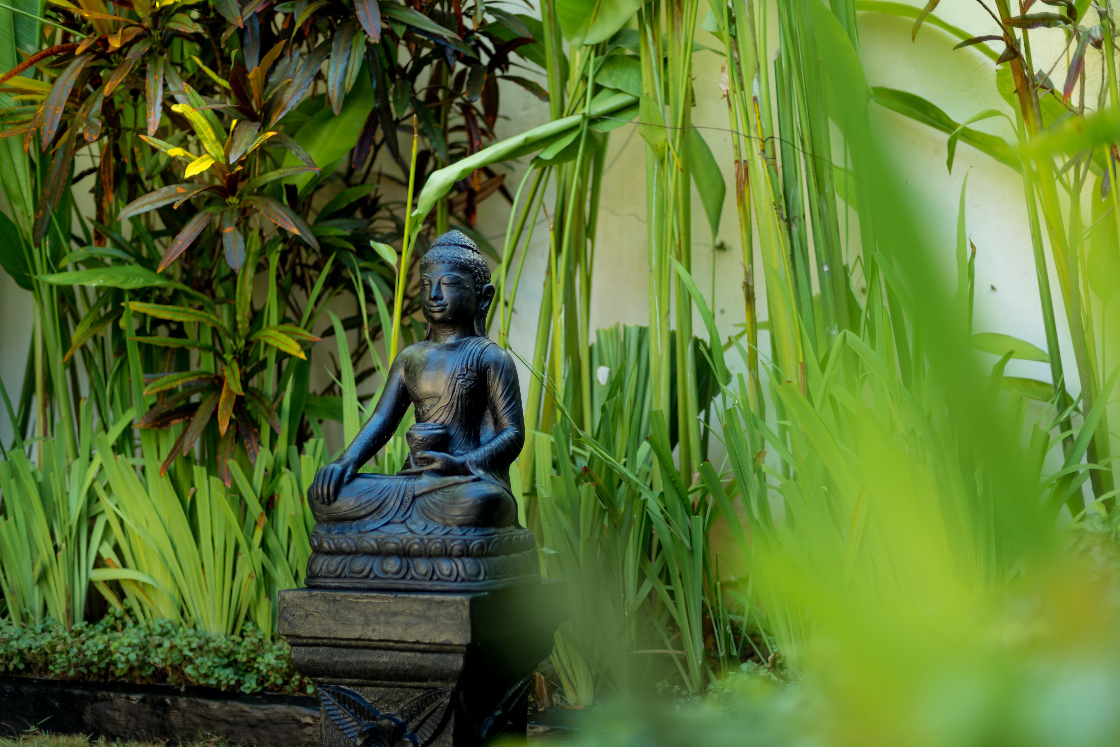 Une statue de Bouddha dans un jardin.