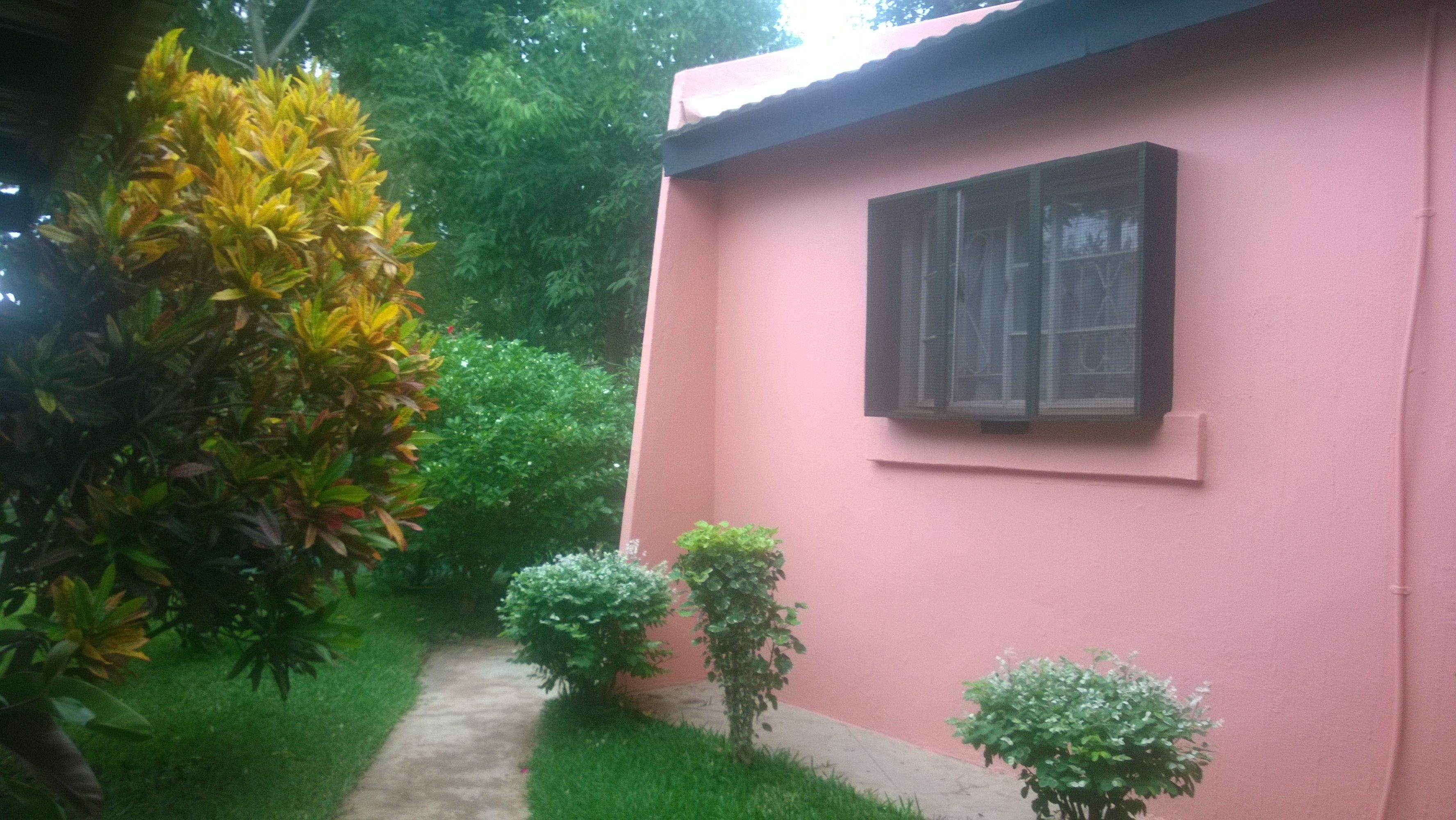 A pink building with a window, surrounded by greenery and a concrete path.
