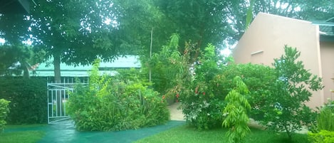 Uitzicht op de tuin