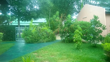 Útsýni yfir garðinn