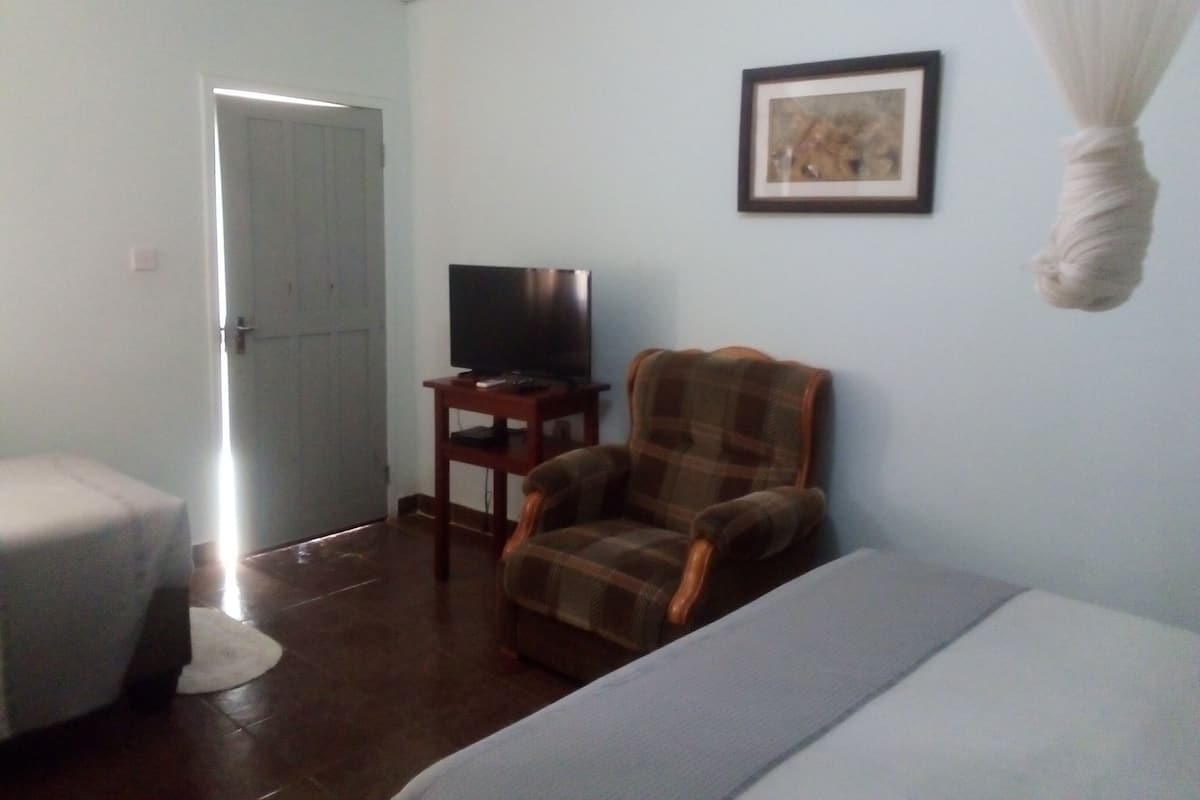 A room with a bed, a chair, a television on a stand, and a door.