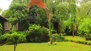 Garden - Gloria's Bed and Breakfast (Livingstone)