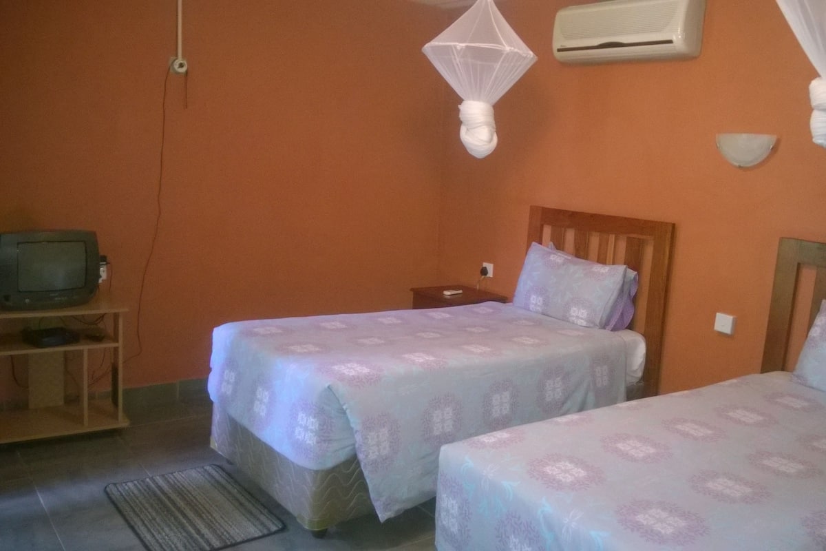 A room with two beds, a TV on a shelf, and a mosquito net hanging from the ceiling.