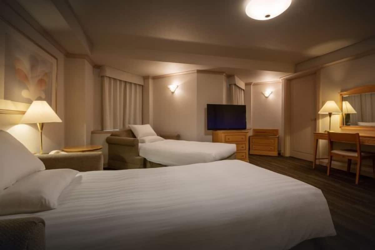 Desk, blackout drapes, soundproofing, iron/ironing board