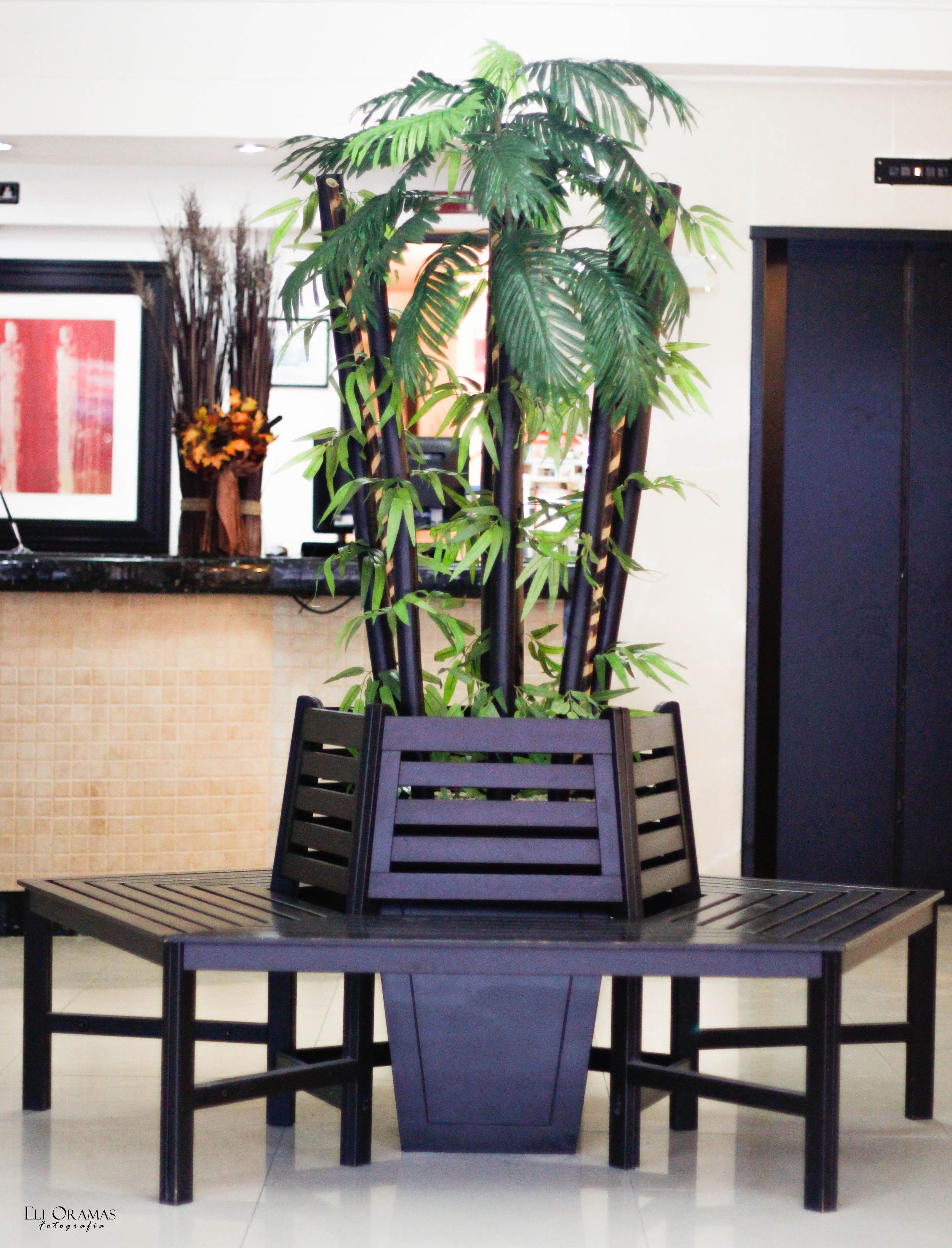 Foto - Choco's Hotel