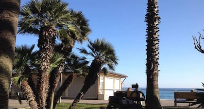 Hotel Paco
