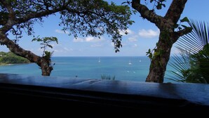 Une vue sur l’océan, avec des bateaux, encadrée par les branches d’arbres.
