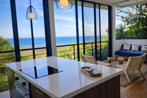 Pacific Suite Apartment | Private kitchen | Stovetop, blender, coffee grinder, freezer