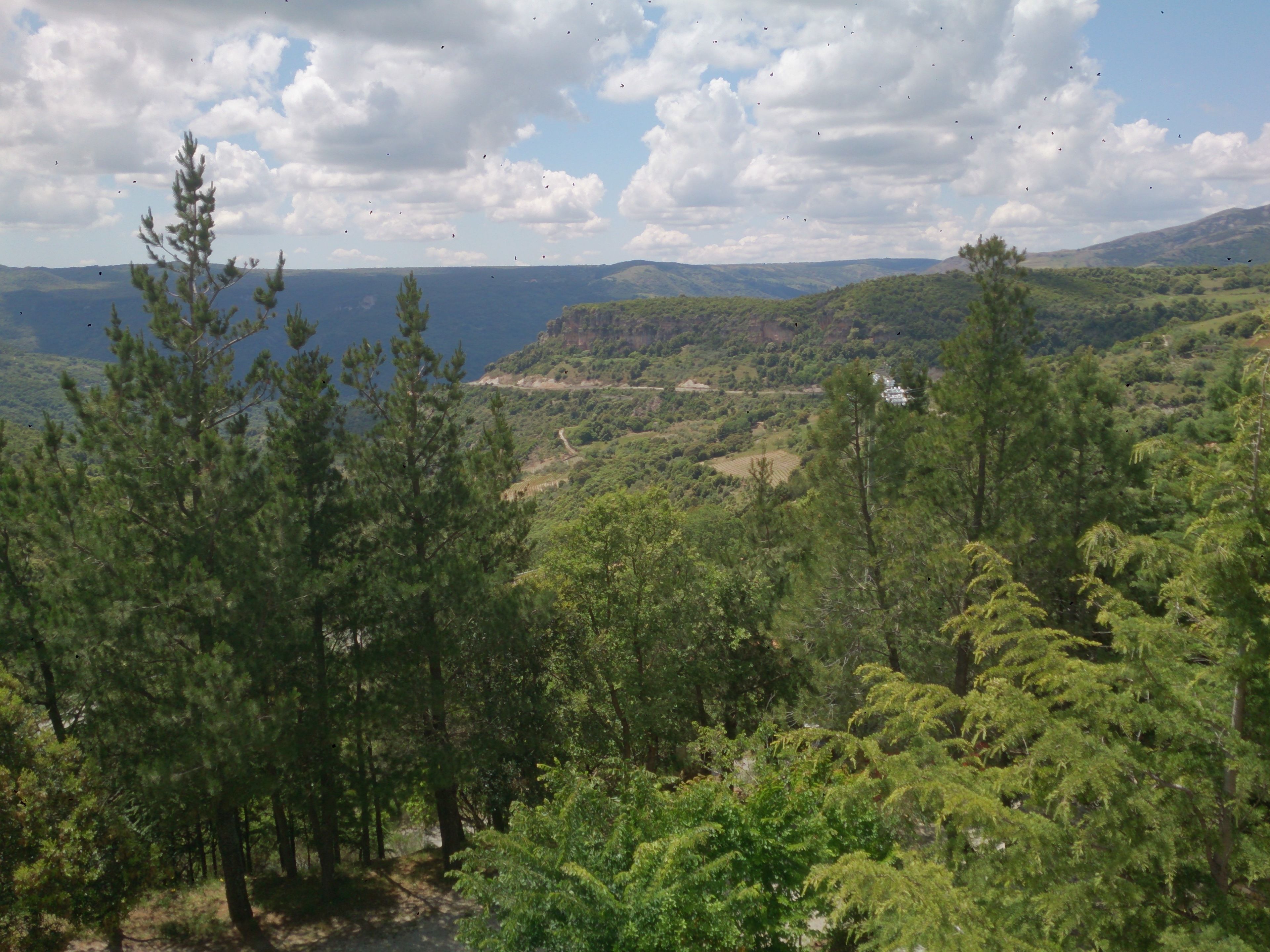 Un paisaje boscoso con vistas a colinas distantes y una masa de agua.