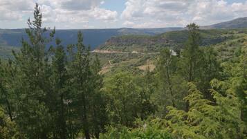 Un paisaje boscoso con vistas a colinas distantes y una masa de agua.