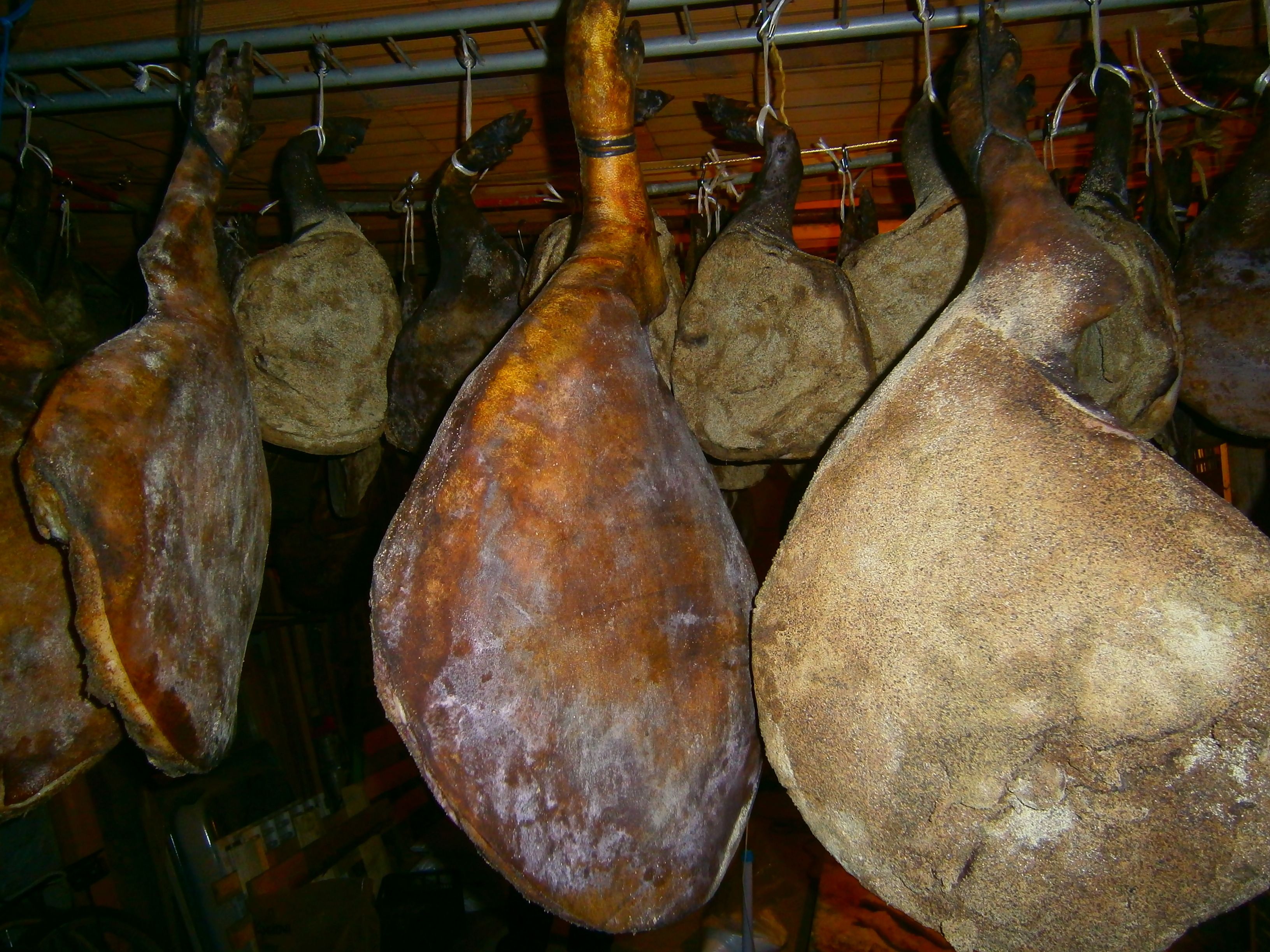 Une série de grandes têtes de cochon suspendues, dans un décor rustique.