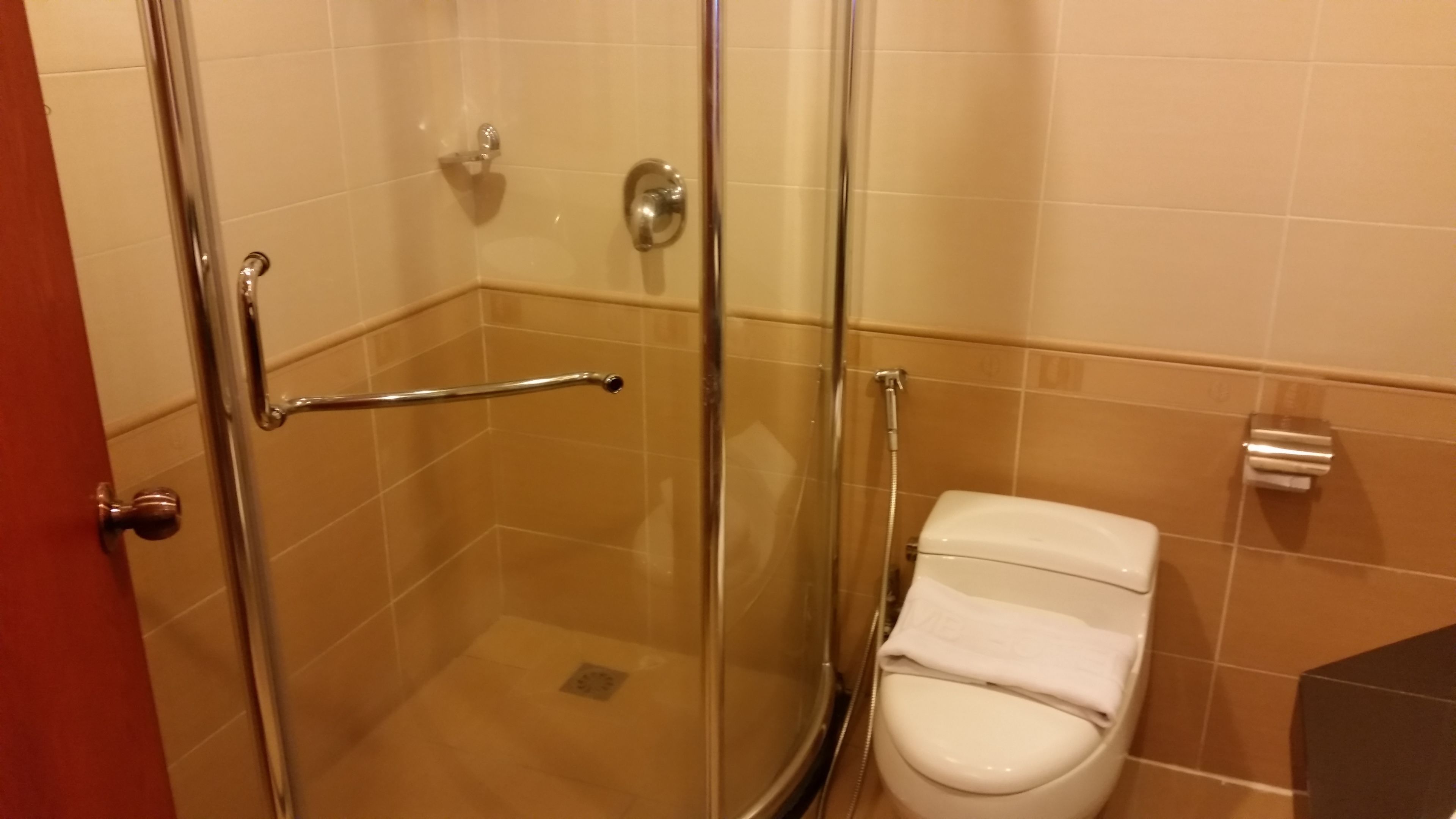 A bathroom with a glass-enclosed shower, a white toilet, and a towel rack.