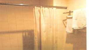 Une salle de bain avec douche, toilettes et lavabo.