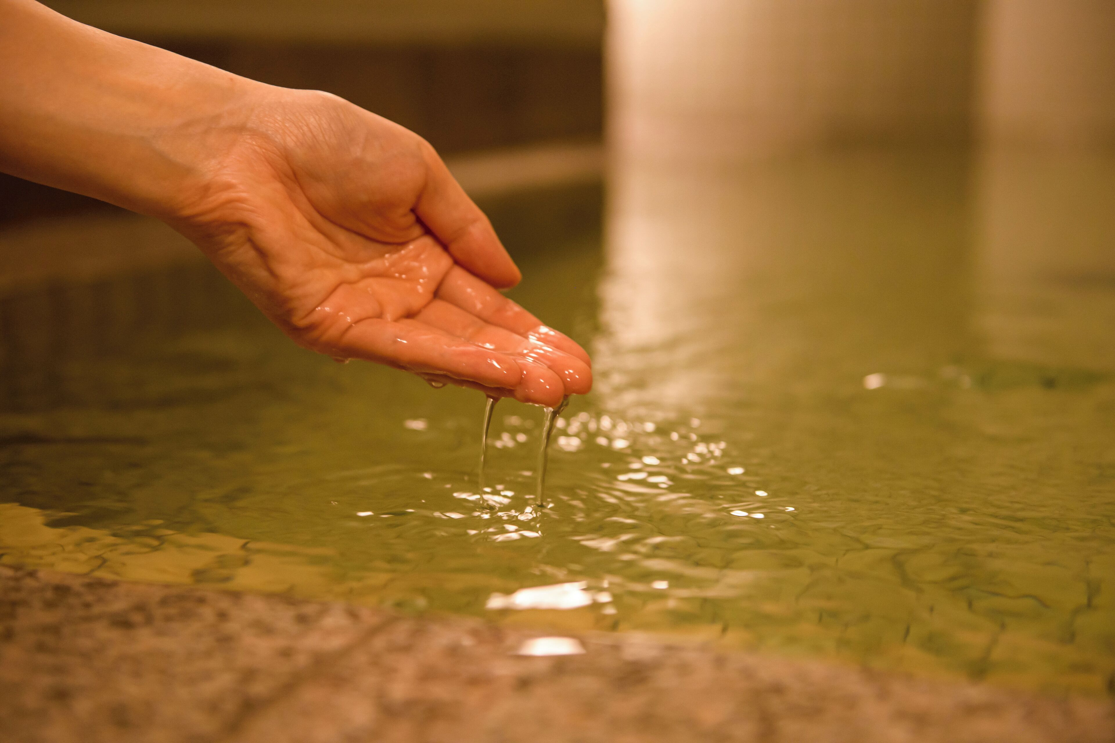 Foto - Hotel Asyl Nara