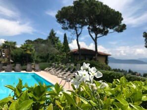 สระว่ายน้ำกลางแจ้ง, สระว่ายน้ำบนชั้นดาดฟ้า, ร่มริมสระว่ายน้ำ