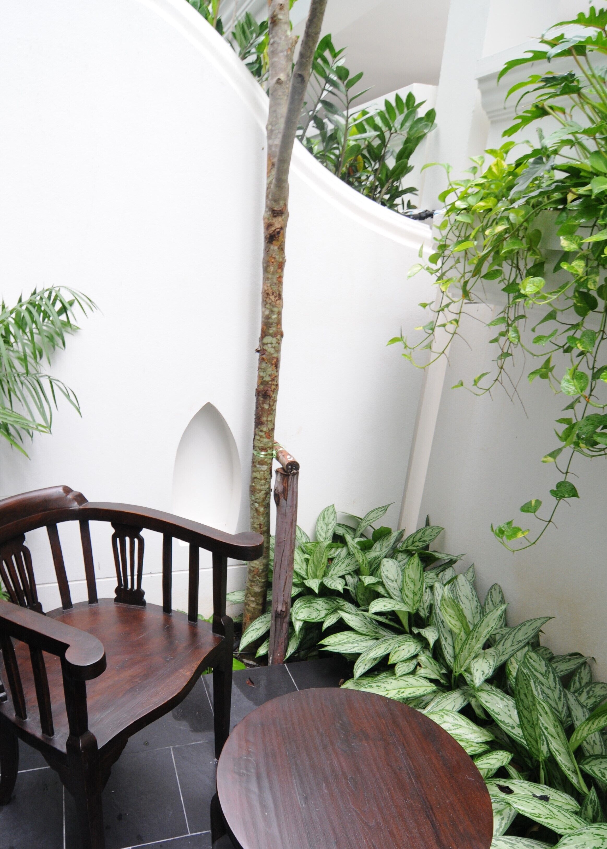 superior room | terrace/patio