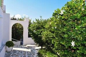 Standard Studio, Courtyard View | Beach/ocean view - Villa Isabella Studios & Suites (Paros)