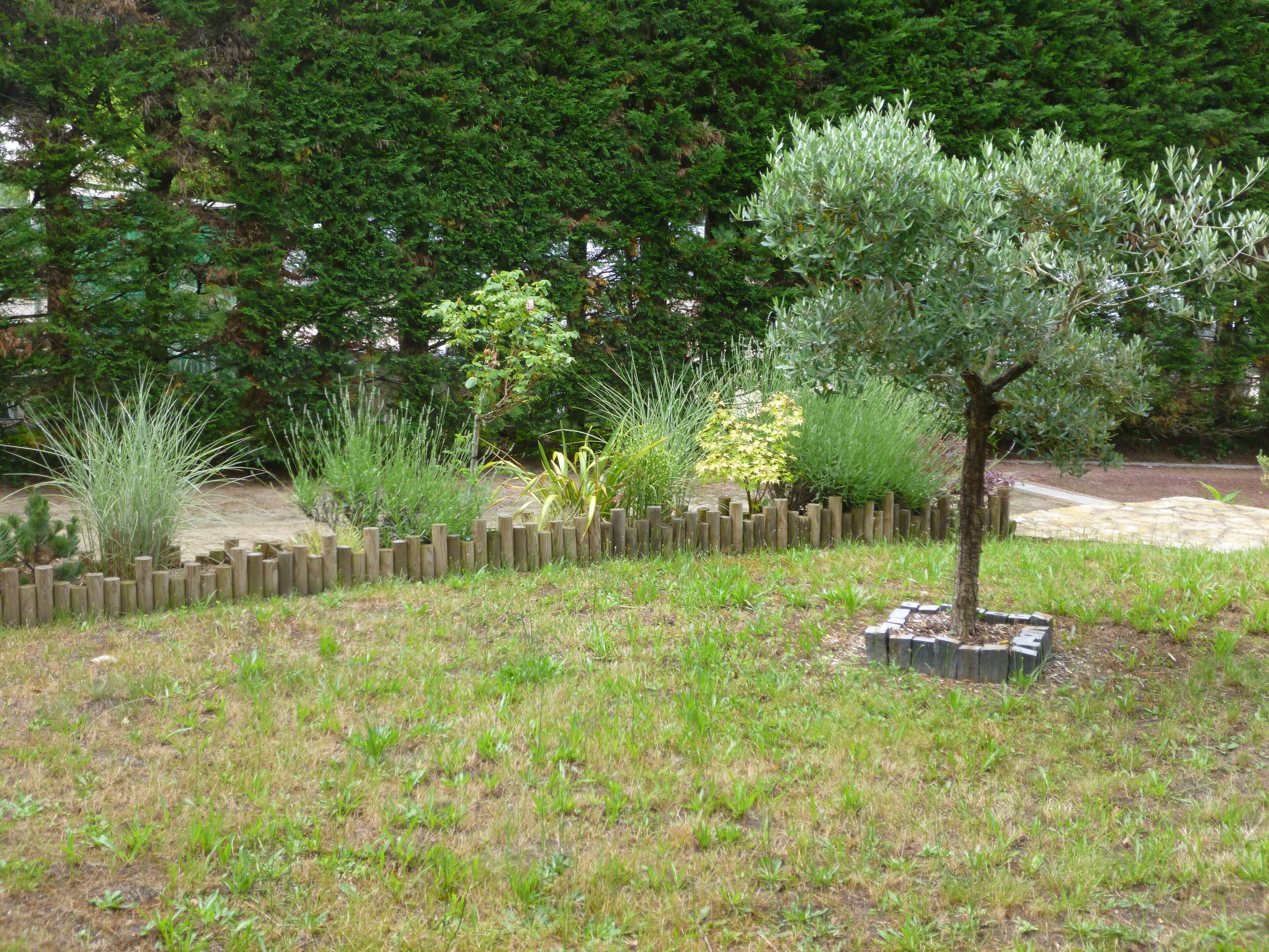 Un jardín con diversas plantas y un cerco de madera.