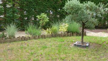 Un jardín con diversas plantas y un cerco de madera.