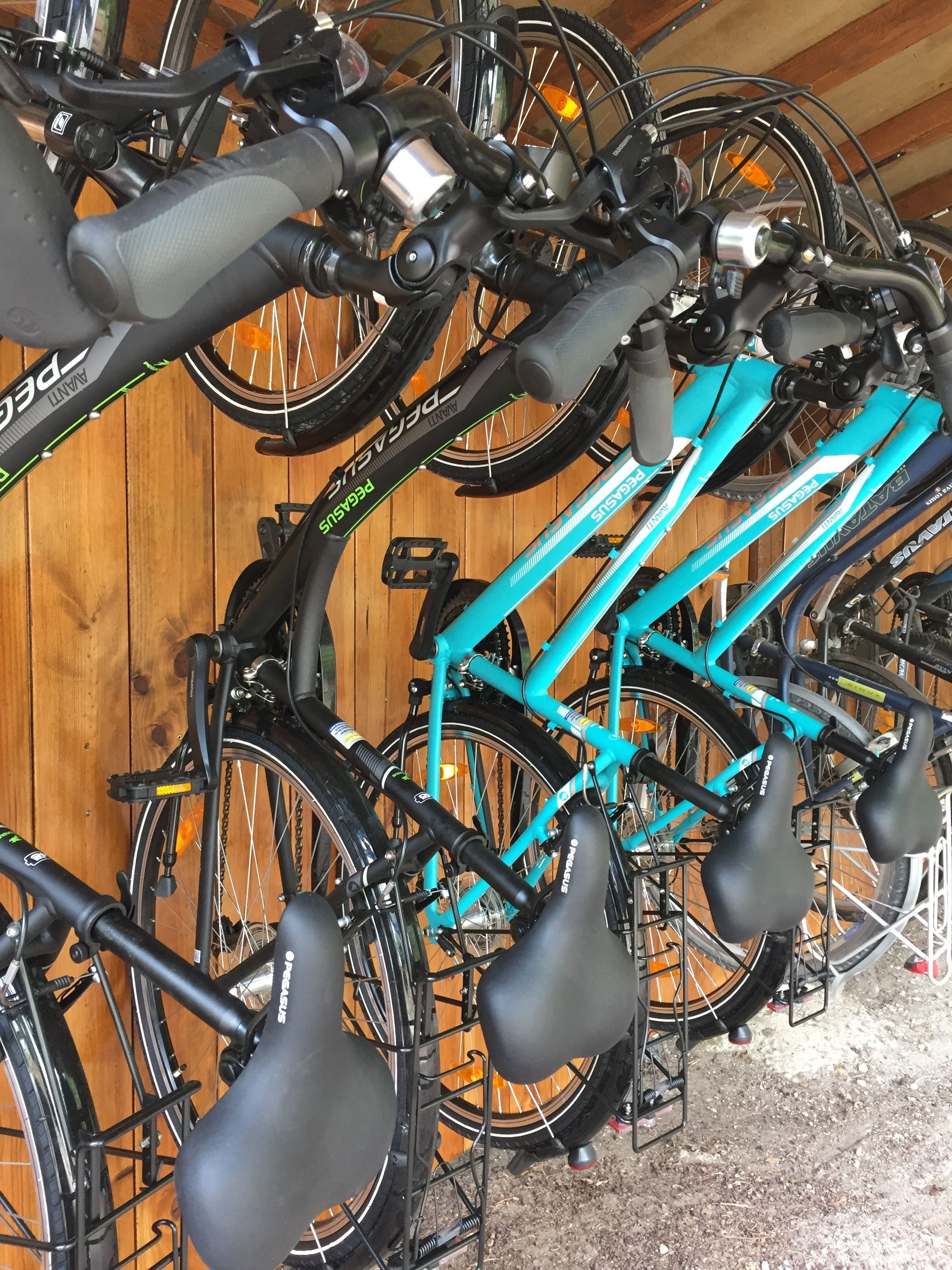 Un aparcaciclos con varias bicicletas, incluyendo una verde azulada y una negra, en una habitación de madera.