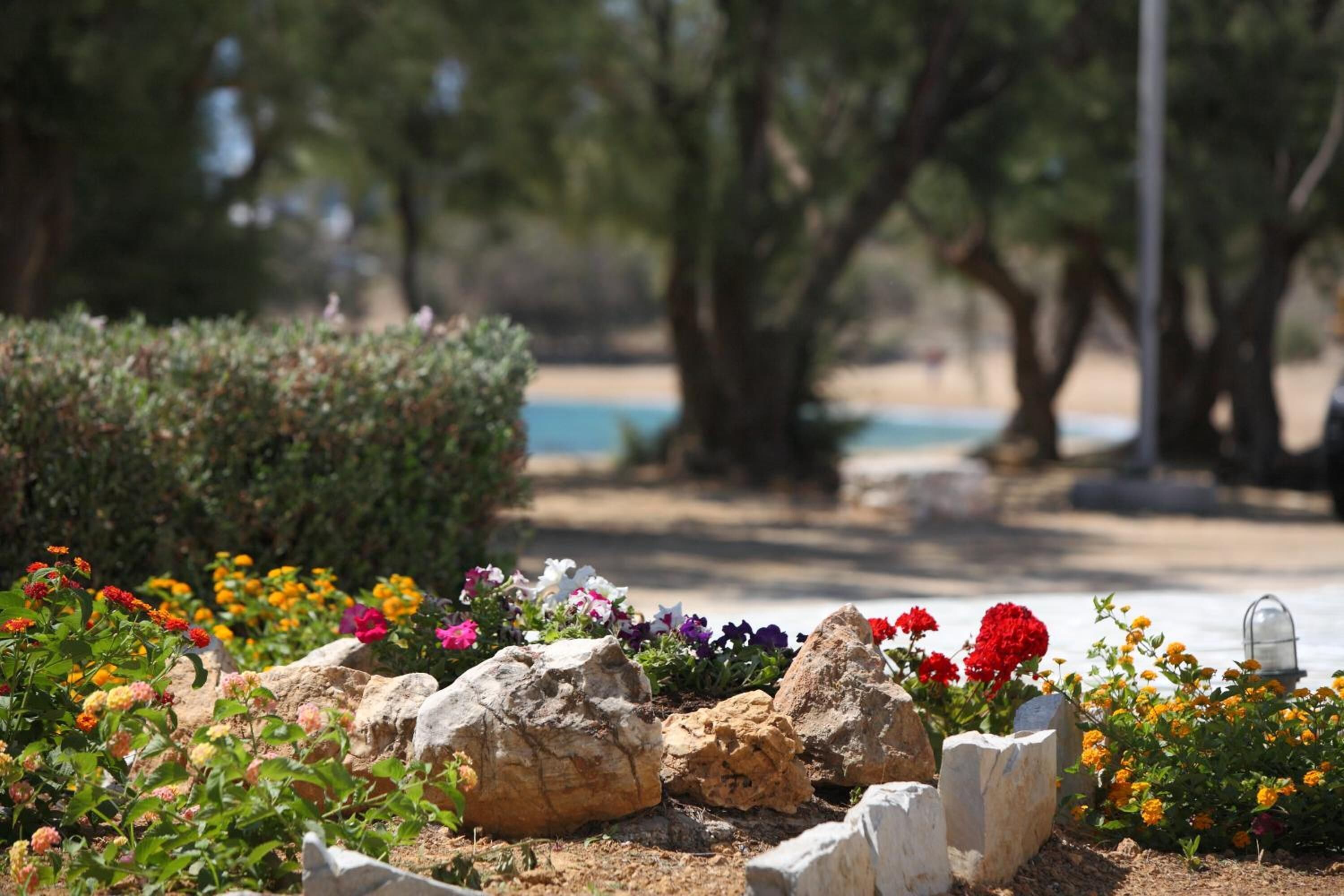 Un jardin agrémenté de fleurs aux couleurs vives, de rochers, d’arbres et d’une piscine en arrière-plan.