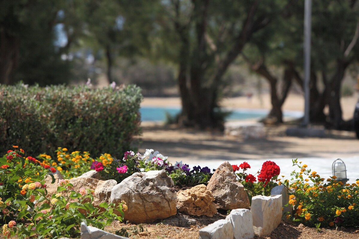 Un jardín con rocas, flores y árboles.