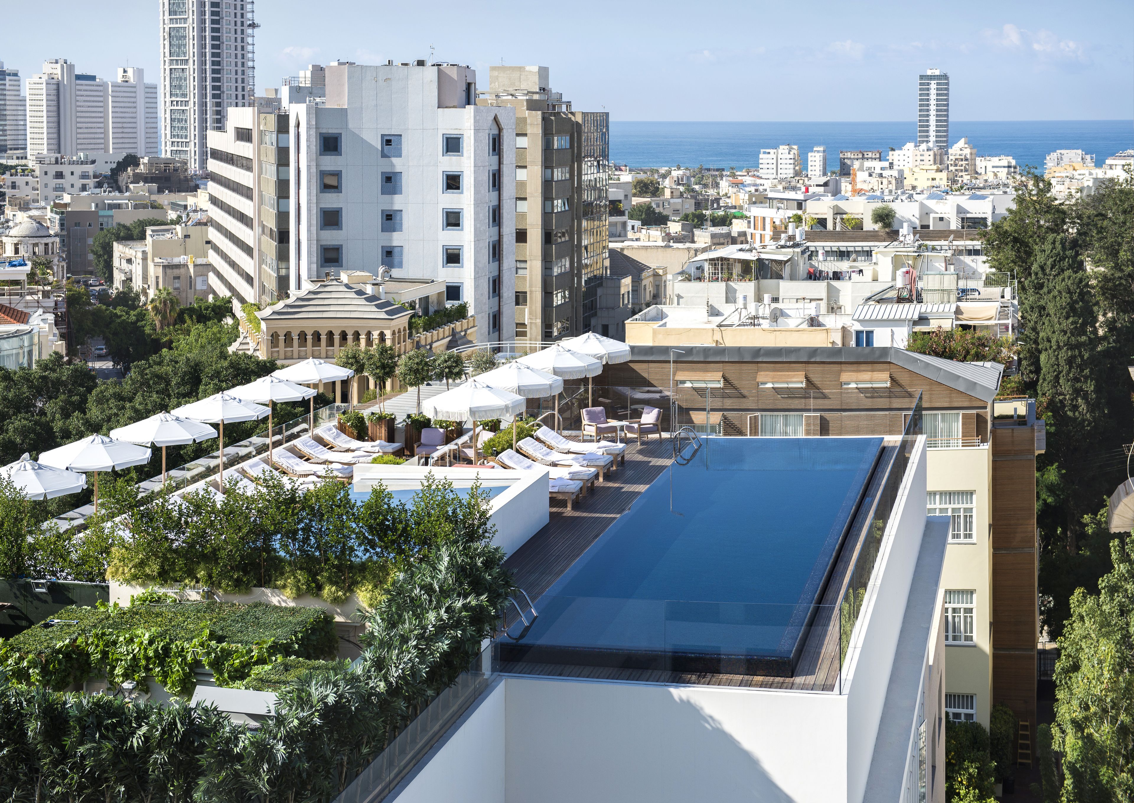 Zona de piscina en la azotea con tumbonas y sombrillas, rodeada de vegetación y con vistas a un paisaje urbano que incluye edificios y el mar.