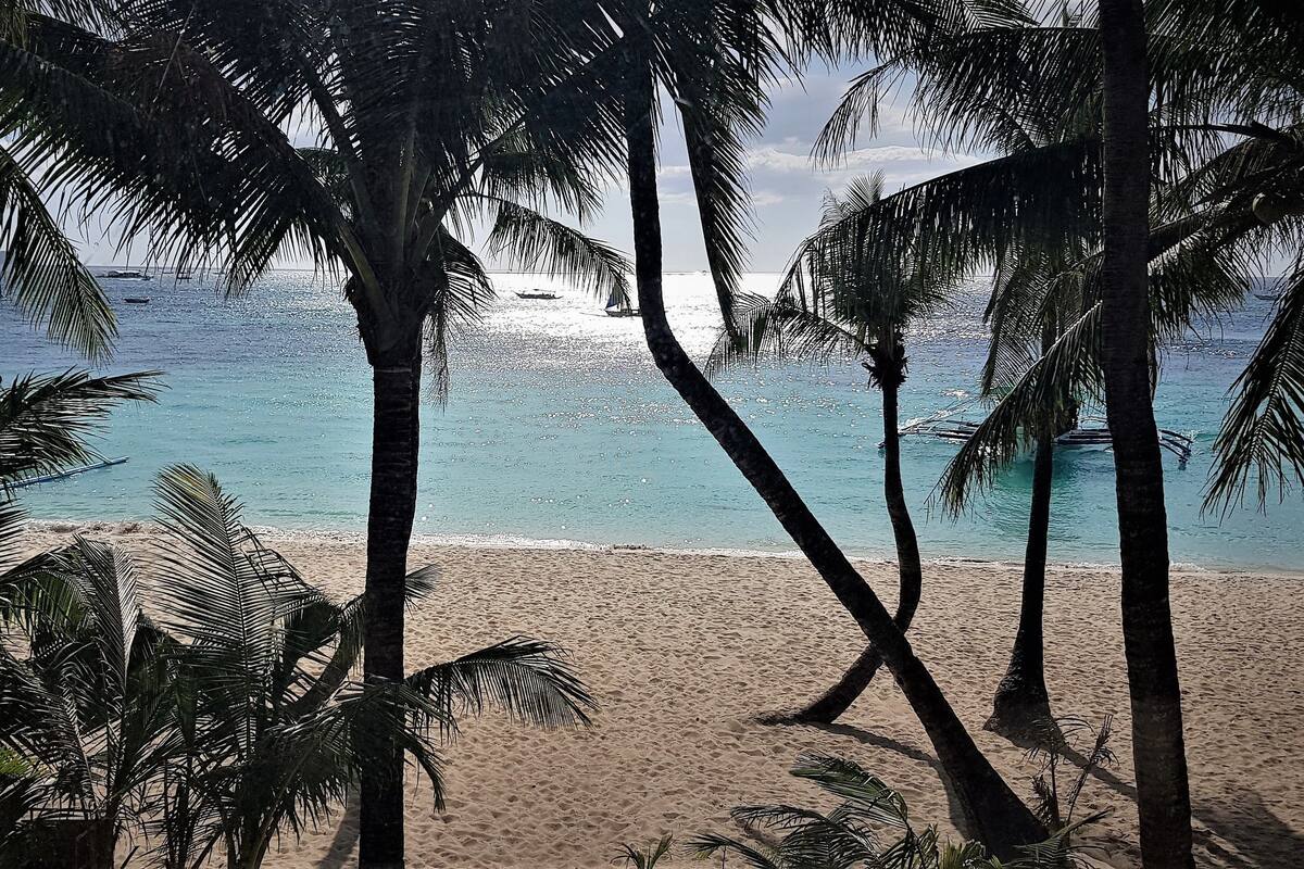 Strandzicht met palmbomen en een heldere lucht.