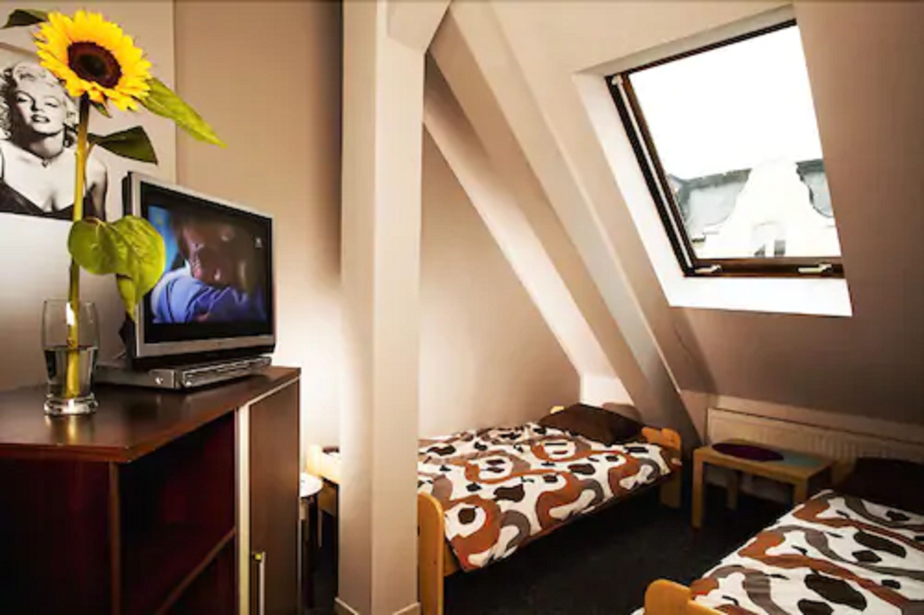 Photo - Absynt Hostel Wrocław