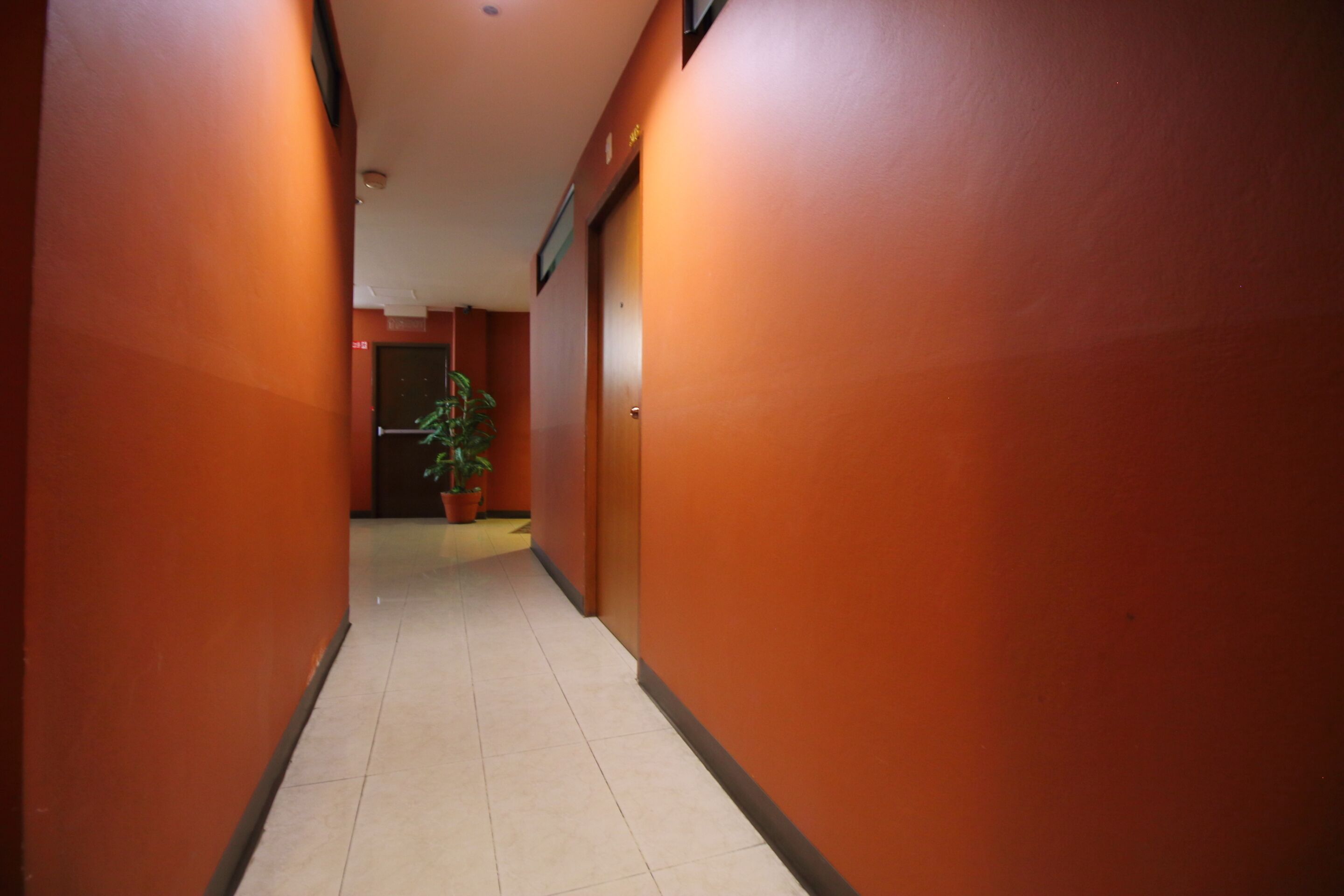 Foto - Super OYO 484 Pannee Residence Khaosan Sha Plus